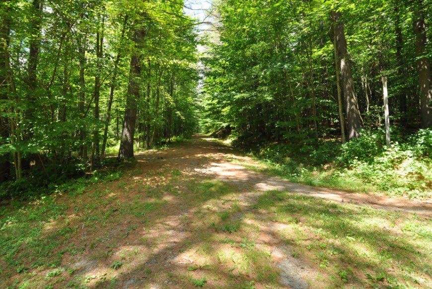 Thetford Hill State Park, Vermont, USA